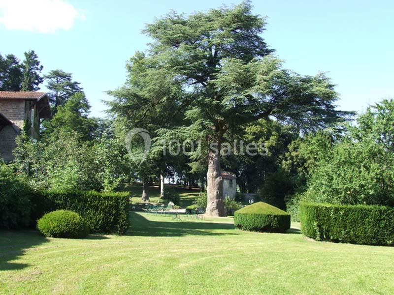 Un grand arbre au centre d'un jardin avec pelouse, haies taillées et bâtiments en arrière-plan.