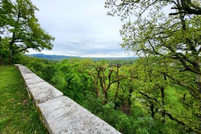 Miniature Location salle Jujurieux (Ain) - Château de Chenavel #8 Location salle Jujurieux (Ain) - Château de Chenavel #21