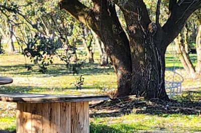 Miniature Location salle Grignan (Drôme) - Domaine du Bijoutier #20 Location salle Grignan (Drôme) - Domaine du Bijoutier #32