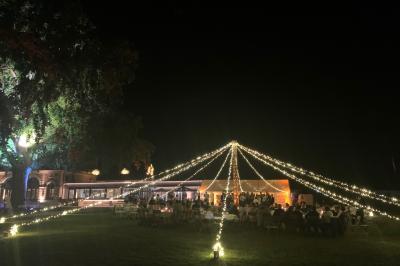 Miniature Location salle Cleppé (Loire) - L'Orangerie de Châtel #20 Un grand arbre illuminé en vert avec des guirlandes lumineuses, près d'un bâtiment éclairé, de nuit.