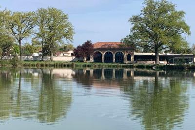 Miniature Location salle Cleppé (Loire) - L'Orangerie de Châtel #19 Un grand arbre illuminé en vert avec des guirlandes lumineuses, près d'un bâtiment éclairé, de nuit.