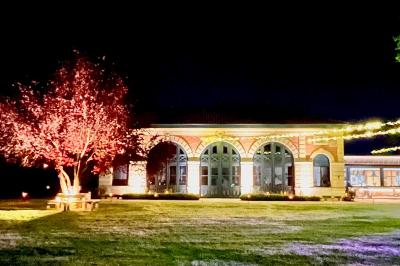 Miniature Location salle Cleppé (Loire) - L'Orangerie de Châtel #33 Un grand arbre illuminé en vert avec des guirlandes lumineuses, près d'un bâtiment éclairé, de nuit.