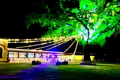 Miniature Location salle Cleppé (Loire) - L'Orangerie de Châtel #36 Un grand arbre illuminé en vert avec des guirlandes lumineuses, près d'un bâtiment éclairé, de nuit.