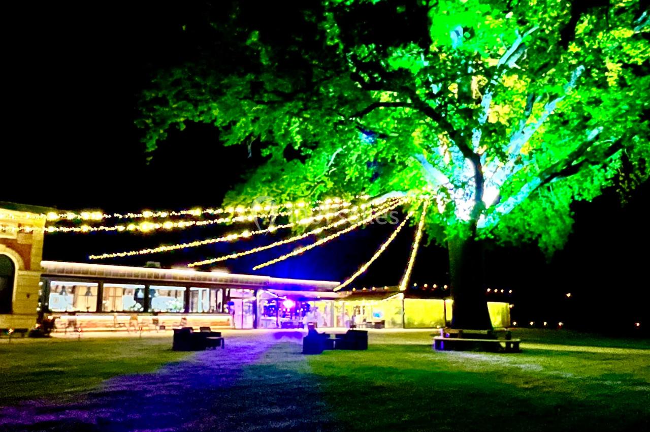 Location salle Cleppé (Loire) - L'Orangerie de Châtel #36 Un grand arbre illuminé en vert avec des guirlandes lumineuses, près d'un bâtiment éclairé, de nuit.