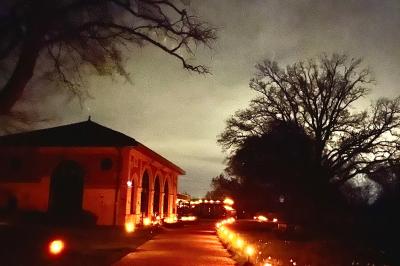 Miniature Location salle Cleppé (Loire) - L'Orangerie de Châtel #35 Un grand arbre illuminé en vert avec des guirlandes lumineuses, près d'un bâtiment éclairé, de nuit.