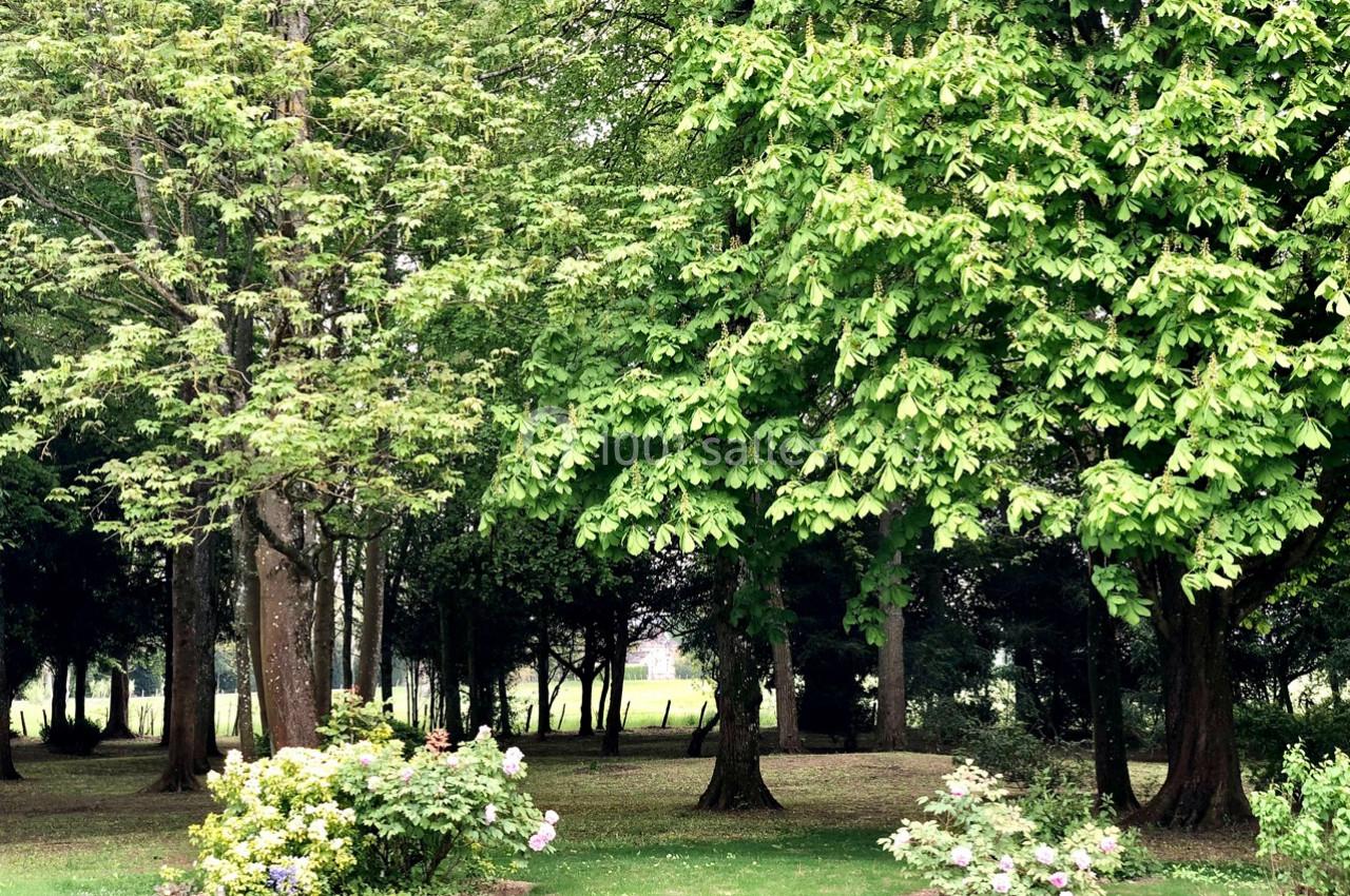 Château des Requêtes  - galerie - photo 13