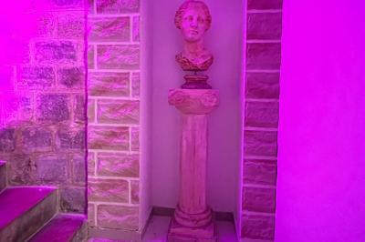 Location salle Nanterre (Hauts-de-Seine) - Le Manoir du 92  #12