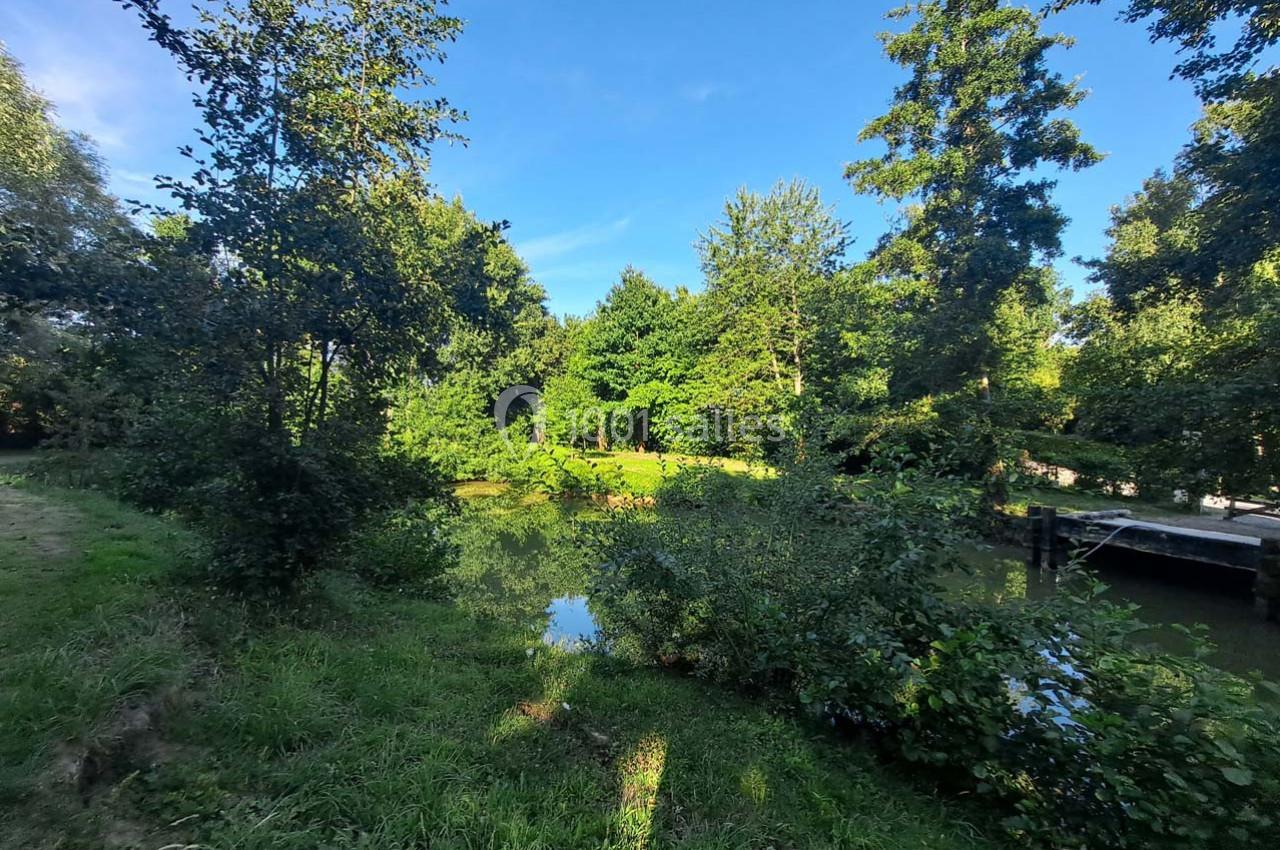 Vue d'un petit étang entouré d'arbres et de végétation sous un ciel bleu clair.