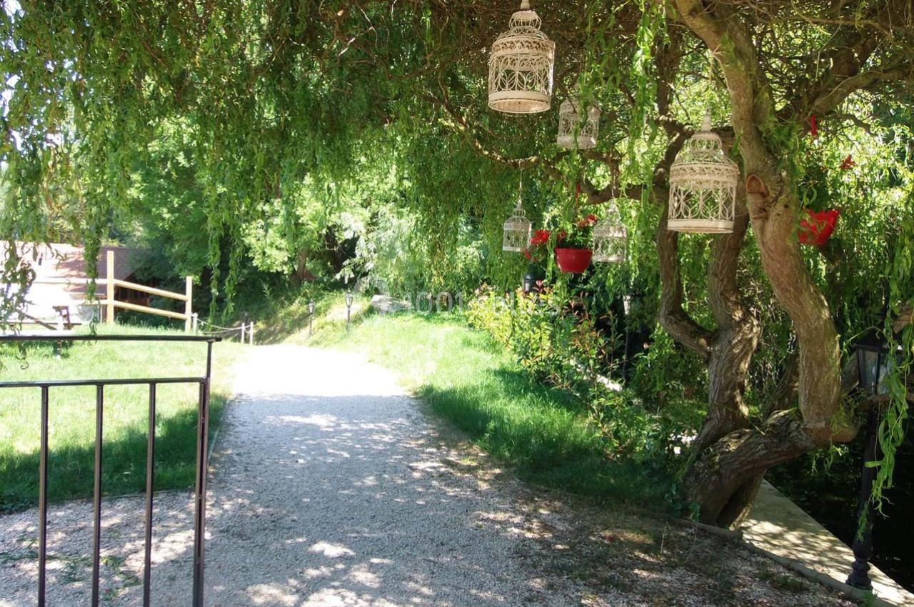 Location salle Ornacieux (Isère) - Domaine du Moulin Piongo #23 Allée ombragée bordée de verdure avec des lanternes suspendues à un arbre et un chemin en gravier.