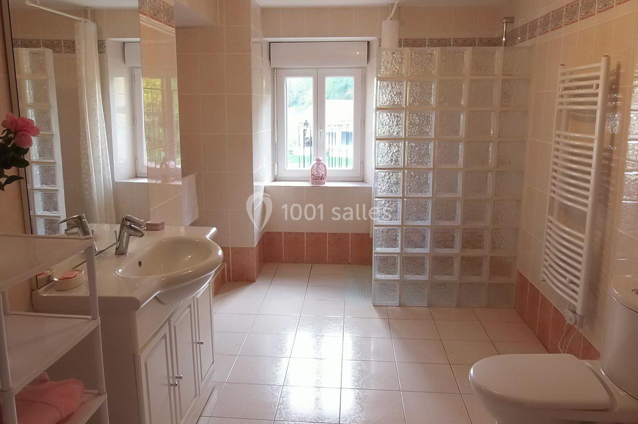 Location salle Ornacieux (Isère) - Domaine du Moulin Piongo #28 Salle de bain lumineuse avec lavabo, miroir, douche à paroi en briques de verre, radiateur et fenêtre donnant sur l…