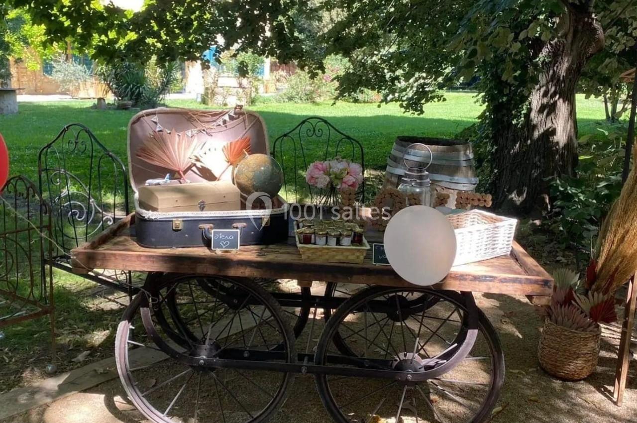Chariot en bois décoré avec une valise ouverte, des fleurs, des bocaux et un ballon, dans un jardin ombragé.