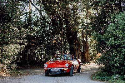 Miniature Location salle Miramas (Bouches-du-Rhône) - La Bambouseraie de Sulauze #86 Chambre lumineuse avec lit double, commode en bois, portant à vêtements, télévision et poutre apparente au plafond.