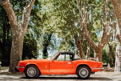 Miniature Location salle Miramas (Bouches-du-Rhône) - La Bambouseraie de Sulauze #90 Chambre lumineuse avec lit double, commode en bois, portant à vêtements, télévision et poutre apparente au plafond.