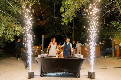 Miniature Location salle Miramas (Bouches-du-Rhône) - La Bambouseraie de Sulauze #97 Chambre lumineuse avec lit double, commode en bois, portant à vêtements, télévision et poutre apparente au plafond.