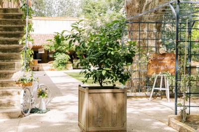 La Bambouseraie de Sulauze - photo 3