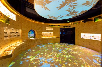 Miniature Location salle Marseille (Bouches-du-Rhône) - Mx Marseille #10 Location salle Marseille (Bouches-du-Rhône) - Mx Marseille #20