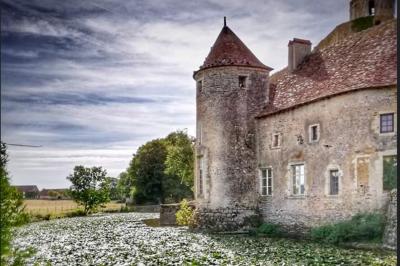 Château de Sagonne - photo 2