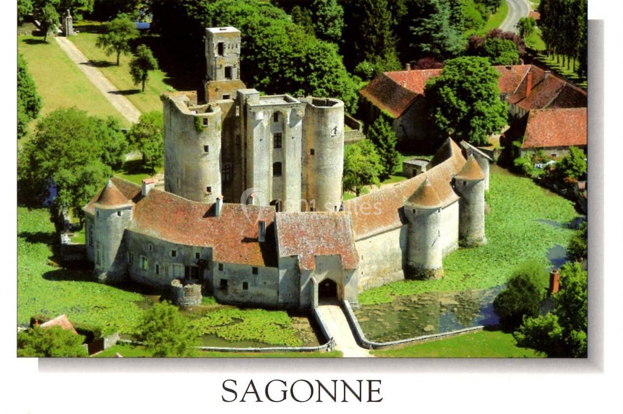 Vue aérienne d'un château médiéval entouré de douves et de végétation, situé dans un cadre rural.