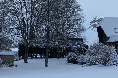 Miniature Mariage d'hiver - Auberge de la comtesse Décoration de salle avec échelle en bois ornée de lettres ’LOVE’, pampas et vases, éclairage violet en arrière-plan.