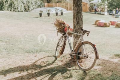 Miniature Mariage vintage - Auberge de la comtesse Décoration de salle avec échelle en bois ornée de lettres ’LOVE’, pampas et vases, éclairage violet en arrière-plan.