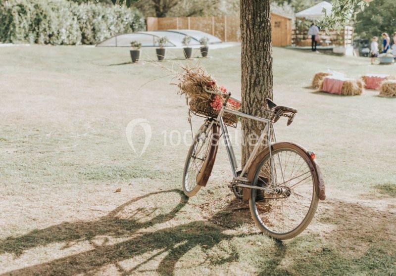 Mariage vintage - Auberge de la comtesse Un vélo ancien appuyé contre un arbre, décoré de fleurs et de paille, dans un espace extérieur ensoleillé.
