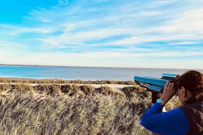 Grande salle vide avec un sol en pierre, plafond en bois avec poutres apparentes et lustres suspendus, décorée de plantes.