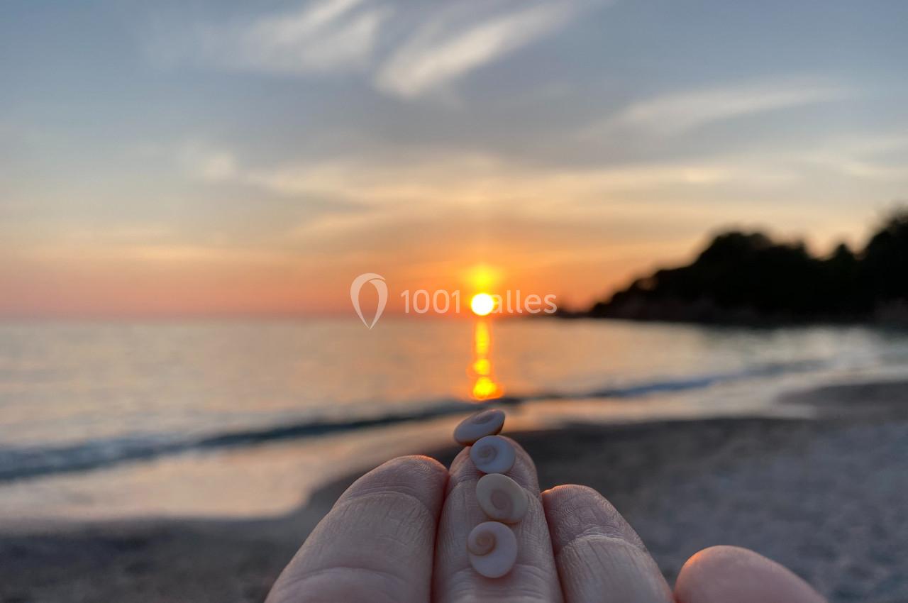 Coquillages en spirale tenus dans une main devant un coucher de soleil sur une plage.