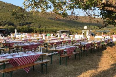 Tables de banquet en plein air avec nappes à carreaux rouges et blanches, disposées sous un arbre dans un cadre champêtre.