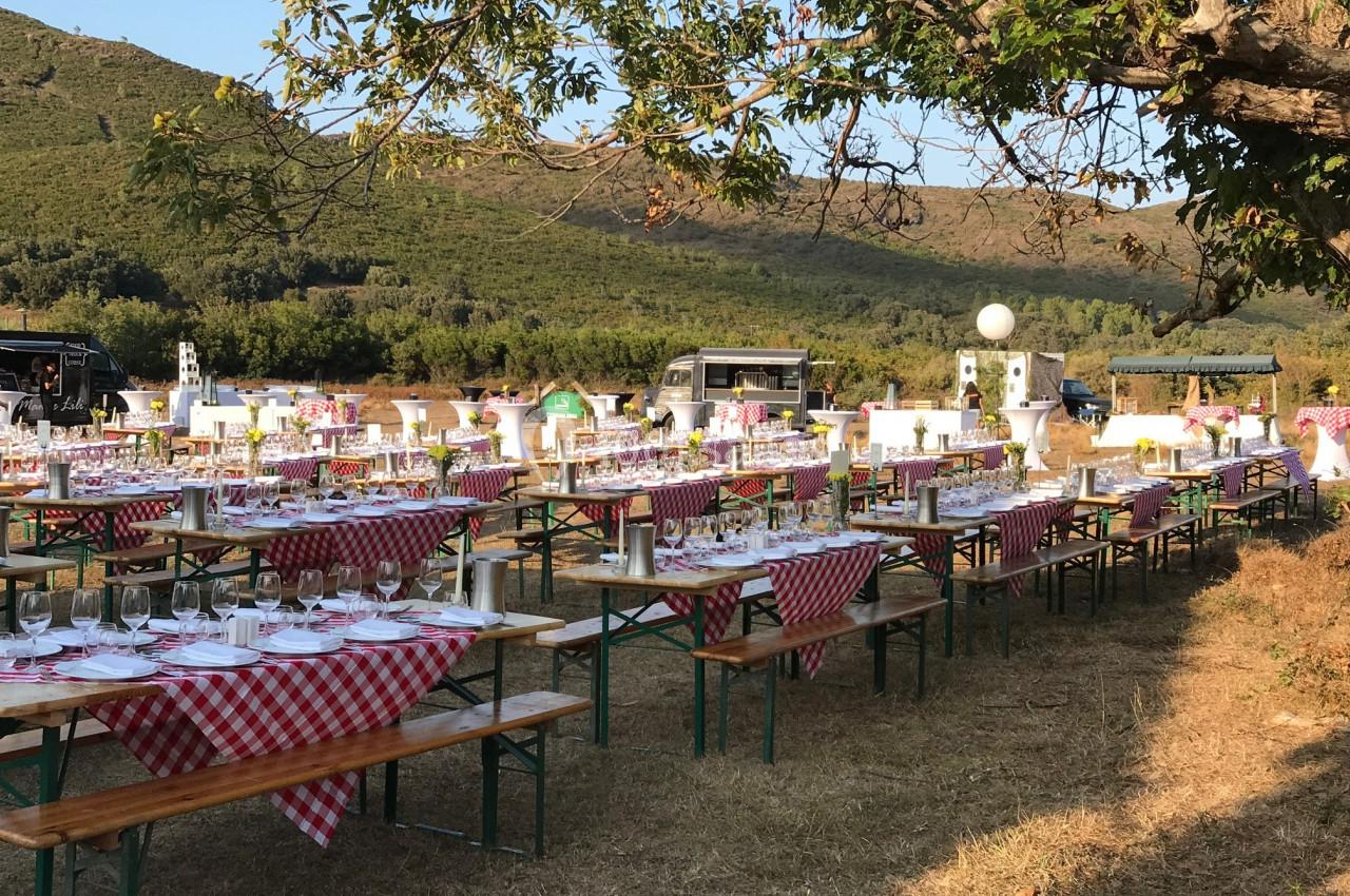 Tables de banquet en plein air avec nappes à carreaux rouges et blanches, disposées sous un arbre dans un cadre champêtre.