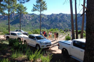 Tente transparente installée sur une plage, aménagée avec des chaises blanches et des plantes décoratives.