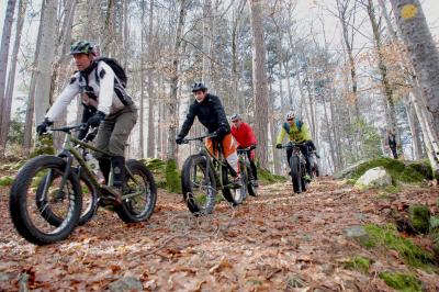 Tente transparente installée sur une plage, aménagée avec des chaises blanches et des plantes décoratives.