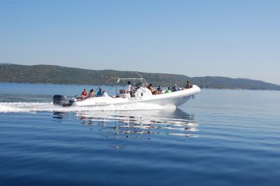 Tente transparente installée sur une plage, aménagée avec des chaises blanches et des plantes décoratives.