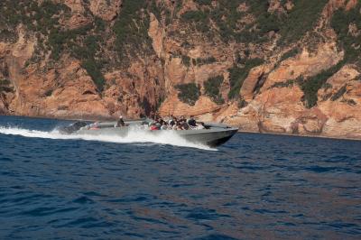 Tente transparente installée sur une plage, aménagée avec des chaises blanches et des plantes décoratives.