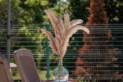 Miniature Location salle Saint-Nauphary (Tarn-et-Garonne) - Ô Domaine du Roussillon #19 Location salle Saint-Nauphary (Tarn-et-Garonne) - Ô Domaine du Roussillon #20