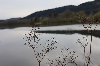 Miniature Location salle Marsac-en-Livradois (Puy-de-Dôme) - Château de Riols #27 Location salle Marsac-en-Livradois (Puy-de-Dôme) - Château de Riols #27