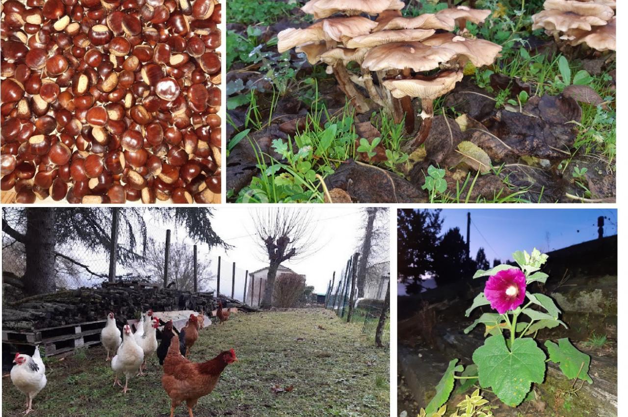 Location salle Sainte-Livrade-sur-Lot (Lot-et-Garonne) - Domaine du Petit Colombier #21