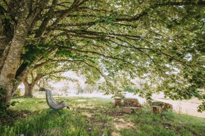 Miniature Location salle Saint-Germain-des-Champs (Yonne) - Les Gaties #41 Location salle Saint-Germain-des-Champs (Yonne) - Les Gaties #58