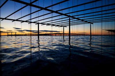 Le Mange Debout de la Ferme Marine - photo 4