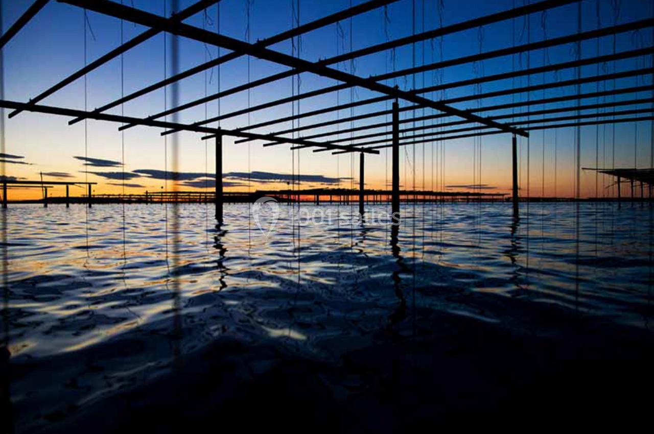 Le Mange Debout de la Ferme Marine - galerie - photo 4