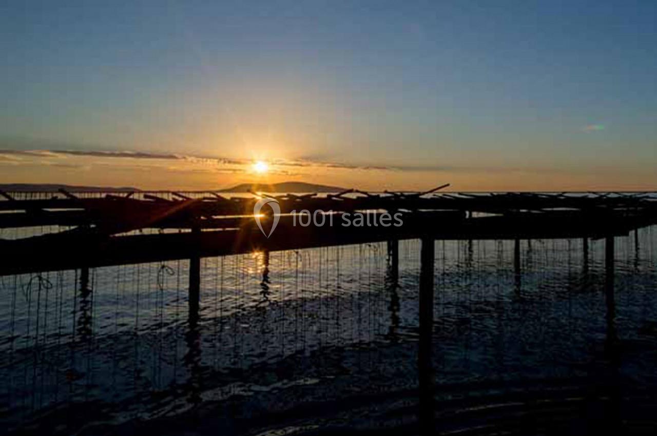 Le Mange Debout de la Ferme Marine - galerie - photo 7