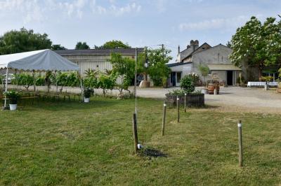 Domaine du Buttay - photo 3
