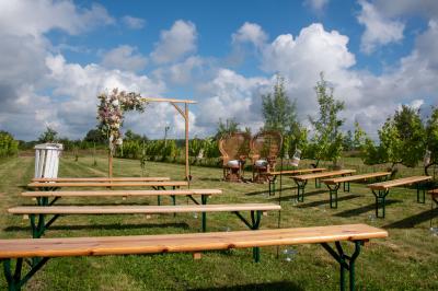 Domaine du Buttay - photo 2
