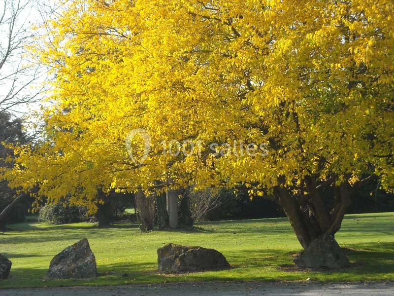 Location salle Sallertaine (Vendée) - Les Ormeaux #12