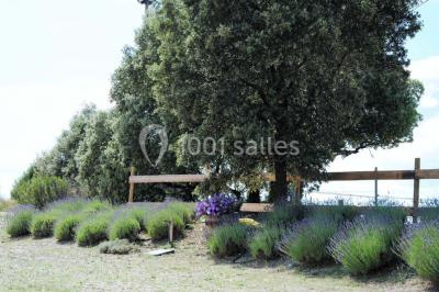 Location salle Nîmes (Gard) - La Bergerie du Mas #31