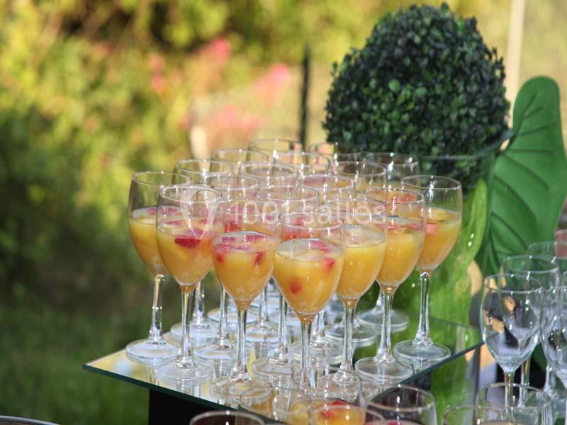 Verres de cocktail aux fruits disposés sur un plateau en extérieur, avec des plantes en arrière-plan.
