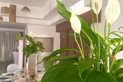 Table décorée pour une fête avec des donuts glacés bleus, des cubes décoratifs et des desserts variés sur des supports en…