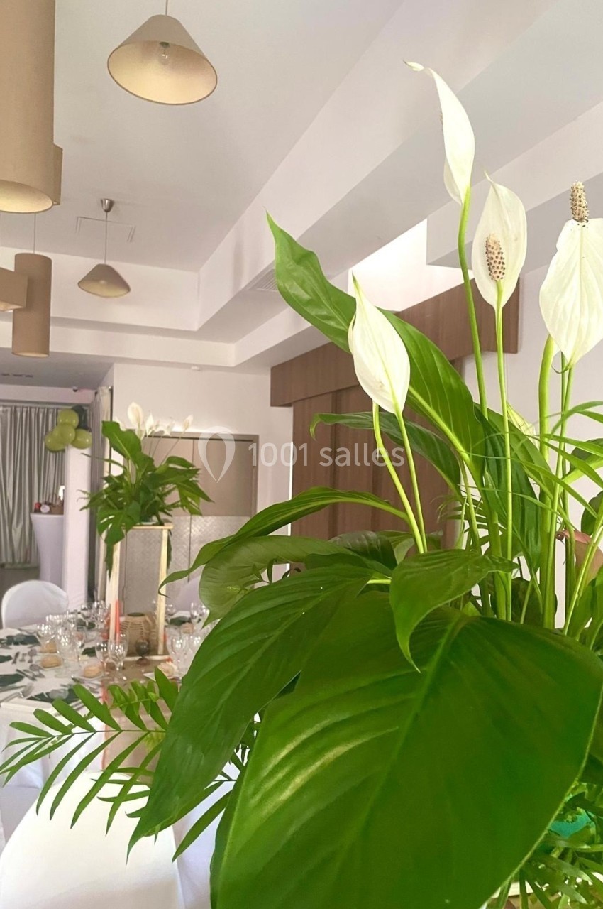 Plante verte avec fleurs blanches en premier plan dans une salle lumineuse décorée pour un événement.