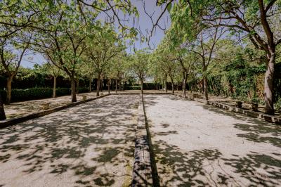 Miniature Location salle Marsillargues (Hérault) - Le Mas Saint Gabriel #5 Une mariée souriante brandit un éventail devant un gâteau de mariage décoré, entourée d'invités en extérieur.