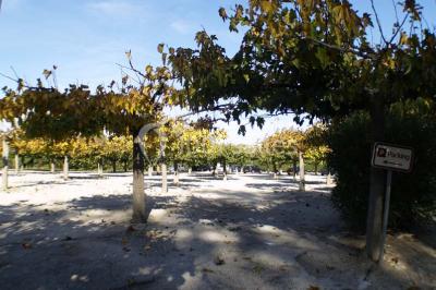 La Bergerie De Servanes - photo 3