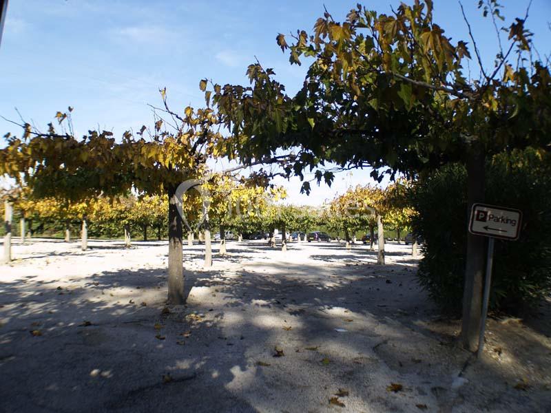 Location salle Mouriès (Bouches-du-Rhône) - La Bergerie De Servanes #3